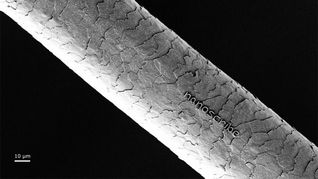 打印在一根头发上的公司名称（Nanoscribe）