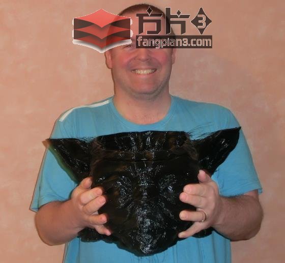 RappiDelta3D打印机2
