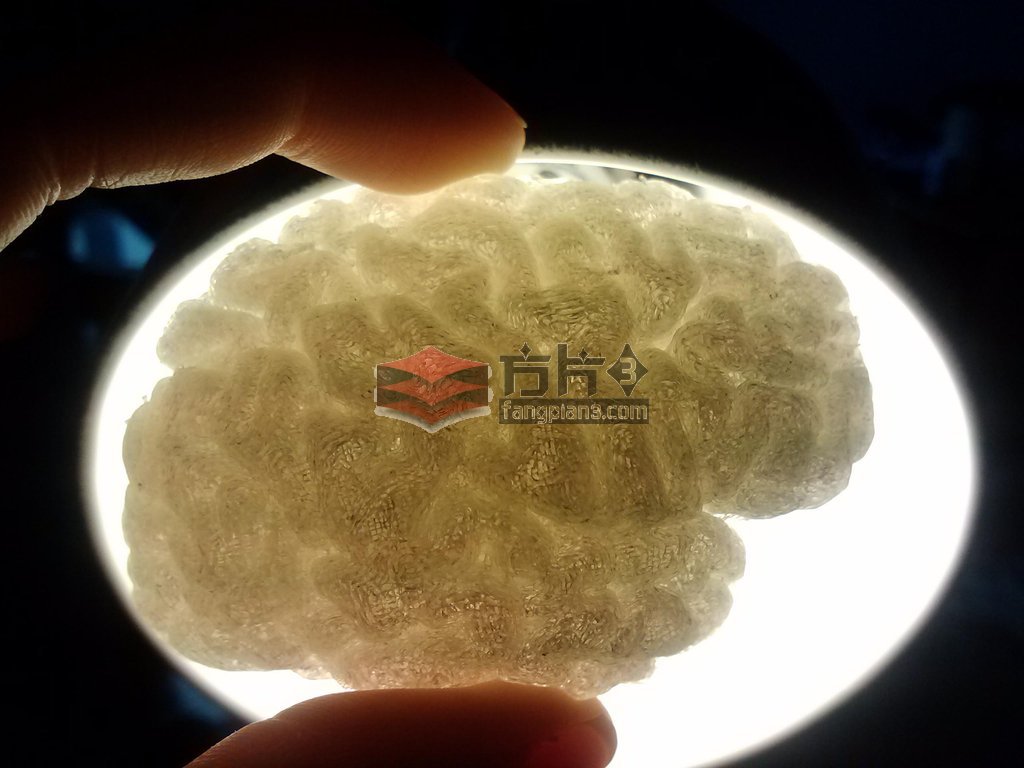 3d打印大脑