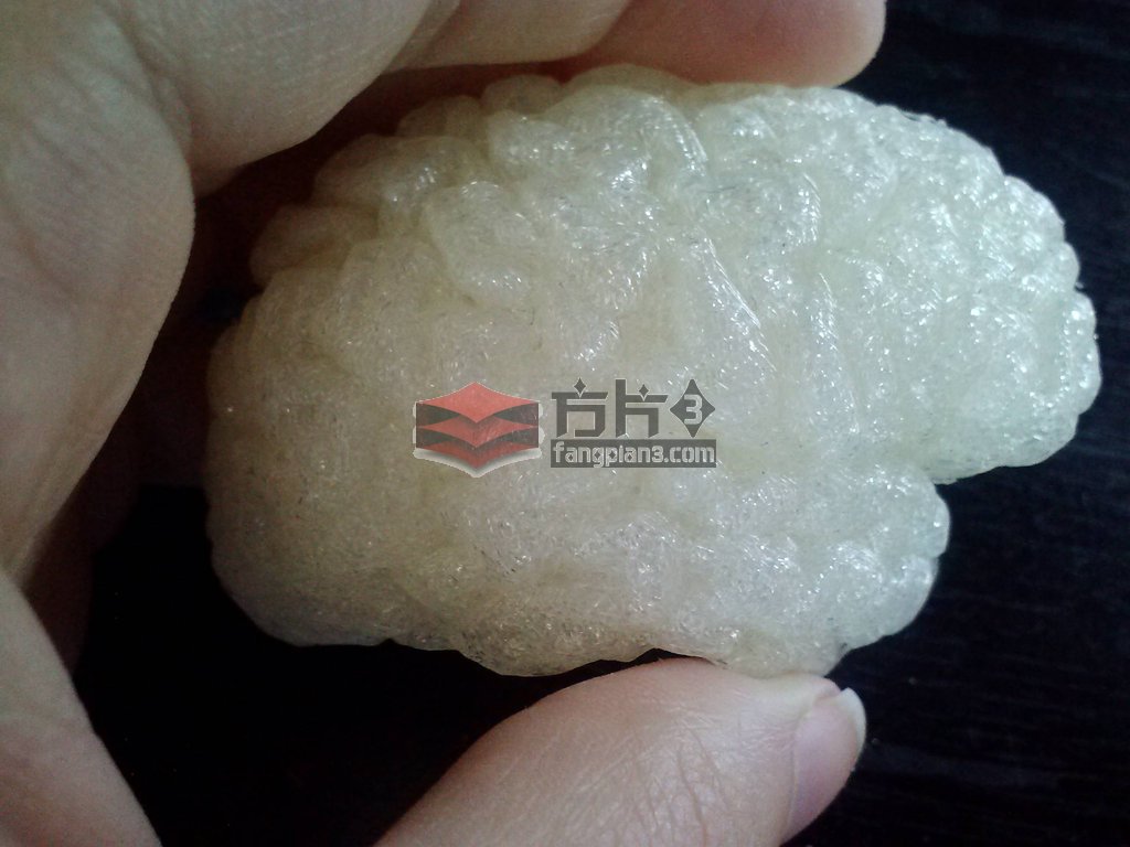 3d打印大脑
