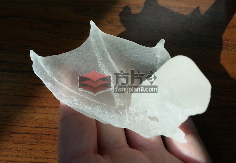 3D打印鸭掌3