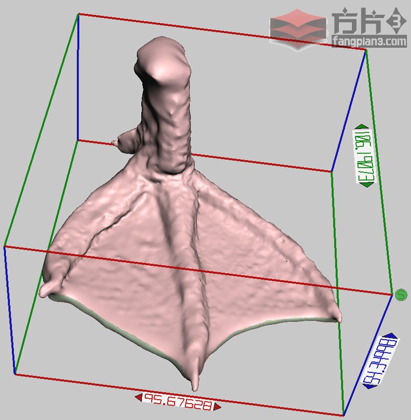 3D打印鸭掌设计图