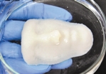 生物3D打印机