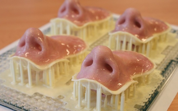 Fripp Desing 3D打印鼻子
