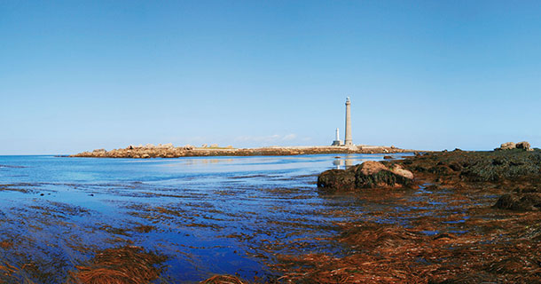 海藻线材