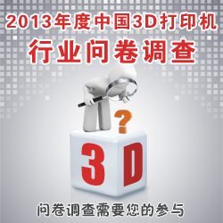 2013问卷调查