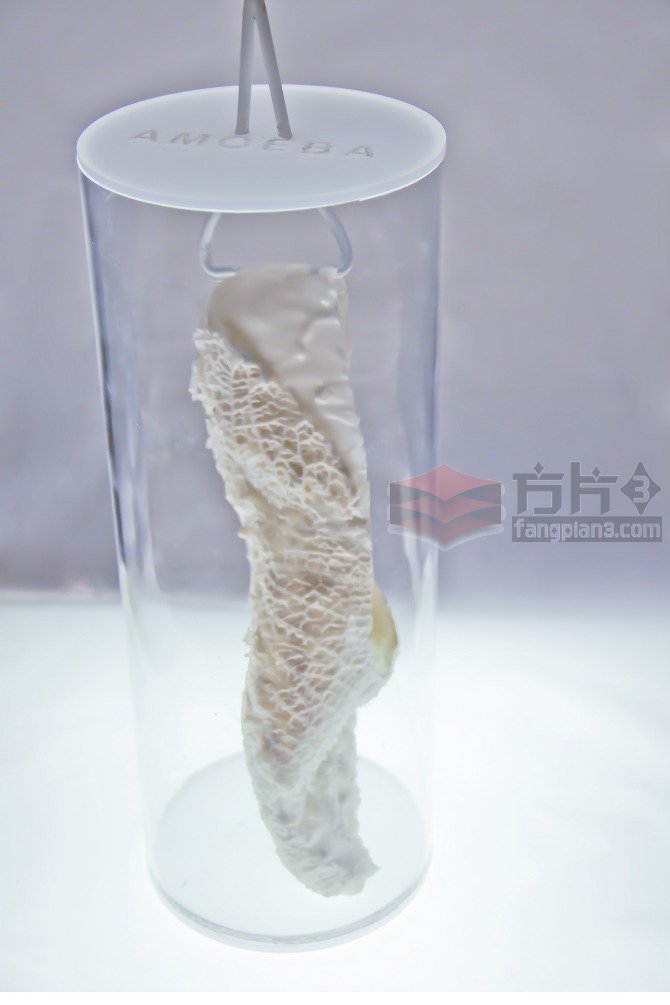 3D打印光电生物运动鞋