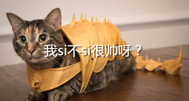 当3D打印遇到喵星人，黑科技会被萌化吗？